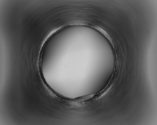 X0000086300901200704131607