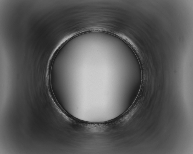 X0000086300902200704131607