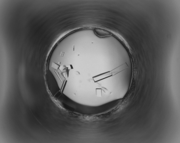 X0000086300903200704131607