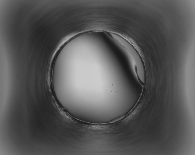 X0000086300904200704131607