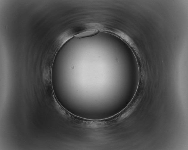 X0000086300905200704131607