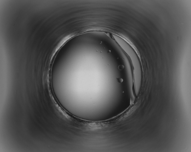 X0000086300906200704131607