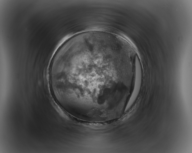 X0000086300907200704131607