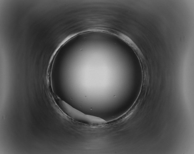 X0000086300908200704131607