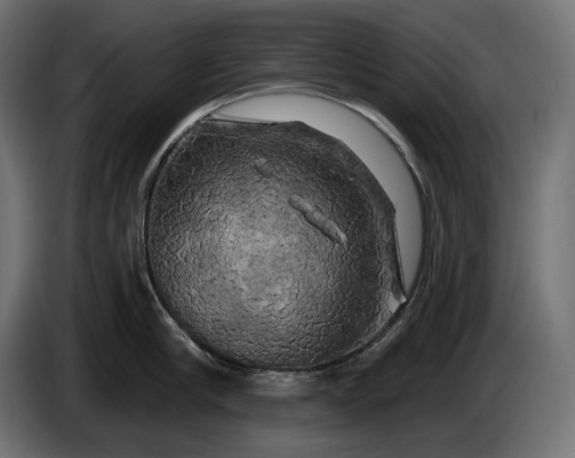 X0000086300910200704131607