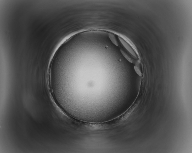 X0000086300911200704131607