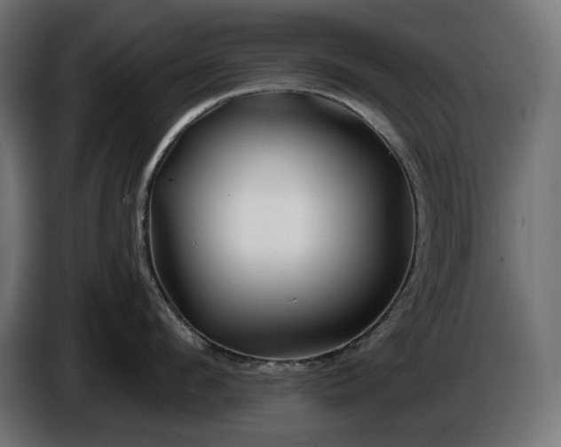 X0000086300912200704131607