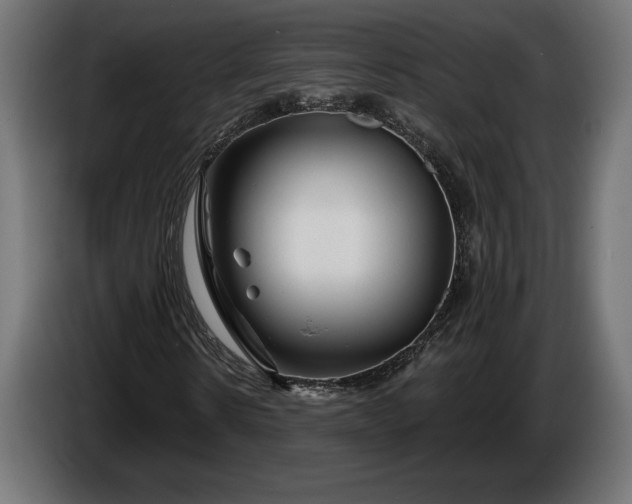 X0000086300914200704131606