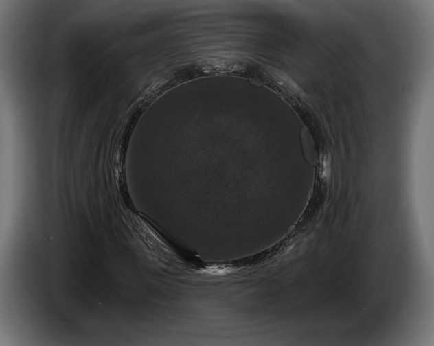 X0000086300915200704131606