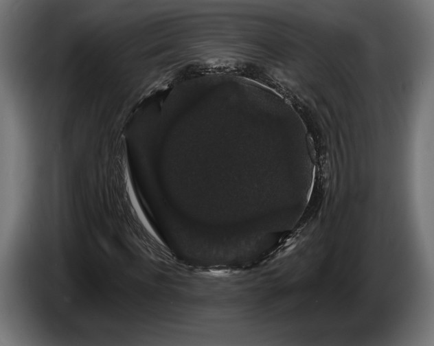 X0000086300916200704131606