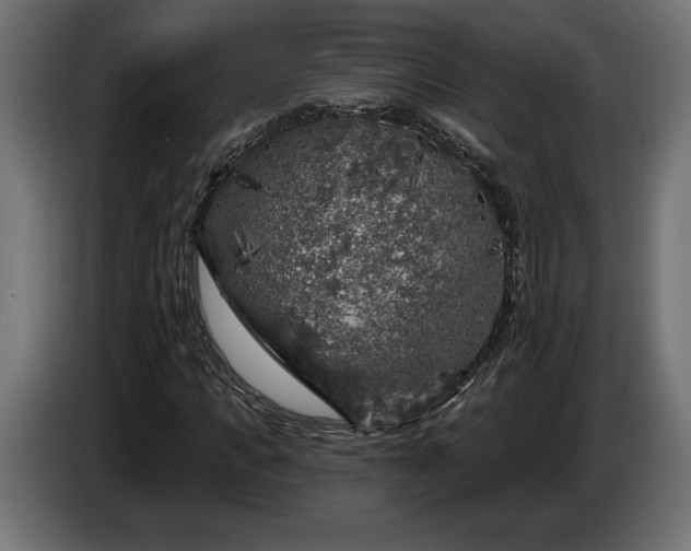 X0000086300917200704131606