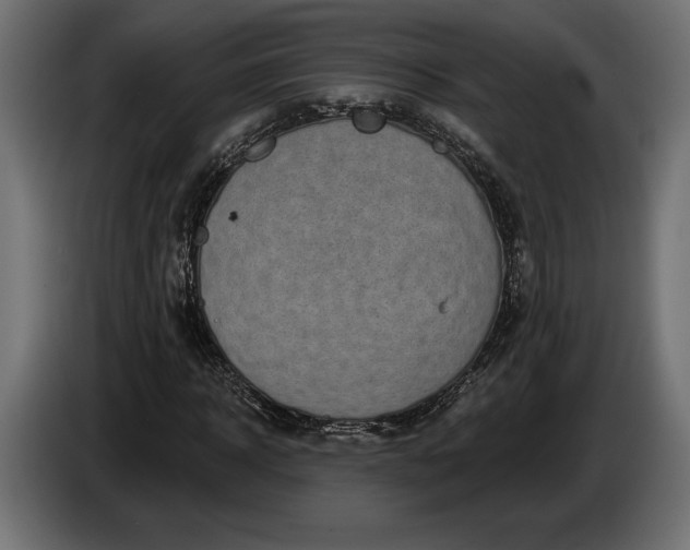 X0000086300918200704131606