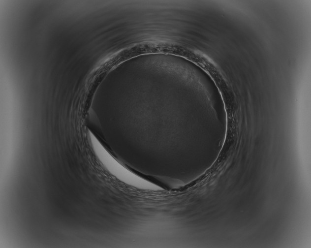 X0000086300919200704131606