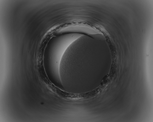 X0000086300920200704131606