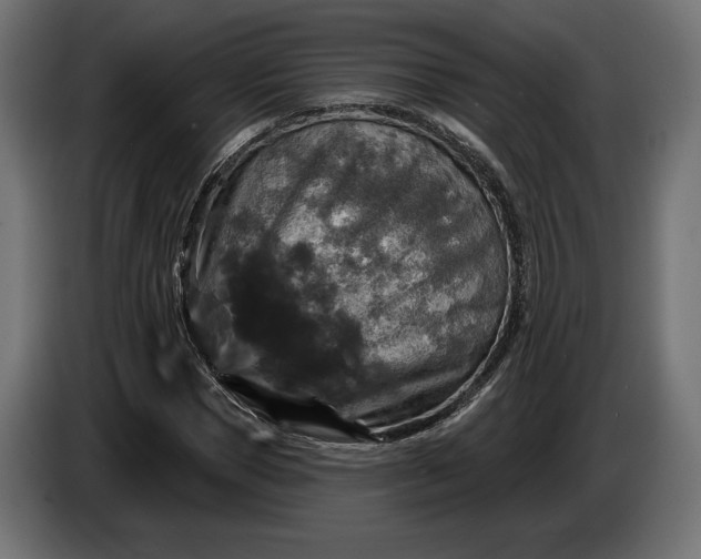 X0000086300921200704131606