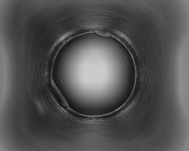 X0000086300922200704131606