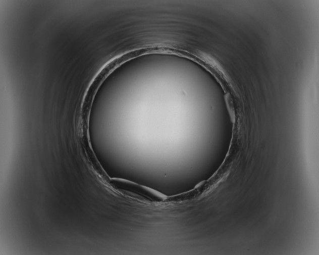 X0000086300924200704131606