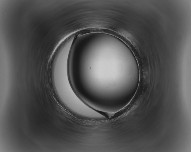 X0000086300926200704131606