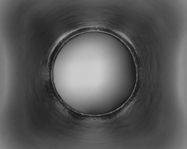 X0000086300927200704131606