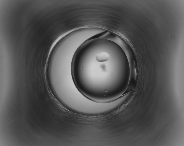 X0000086300928200704131606