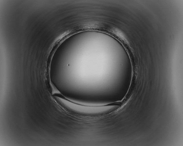 X0000086300930200704131606