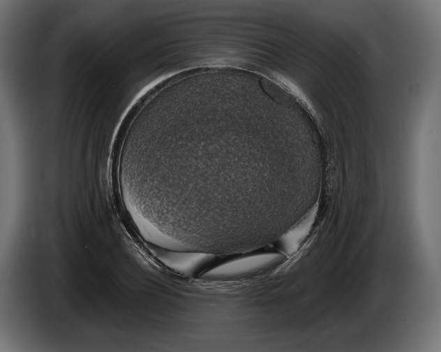 X0000086300932200704131606