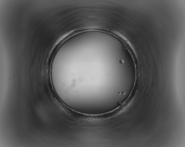 X0000086300933200704131606