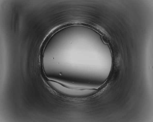 X0000086300934200704131606