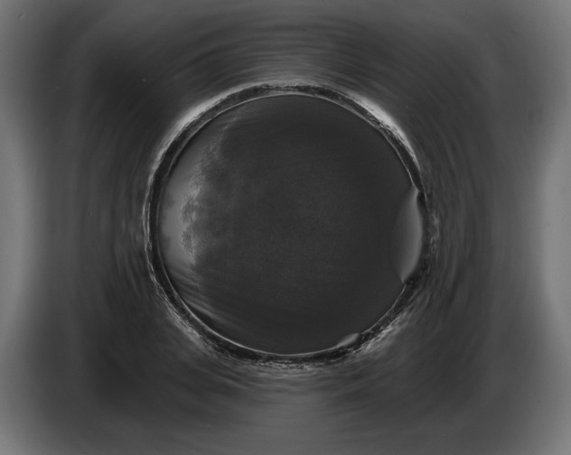 X0000086300935200704131606