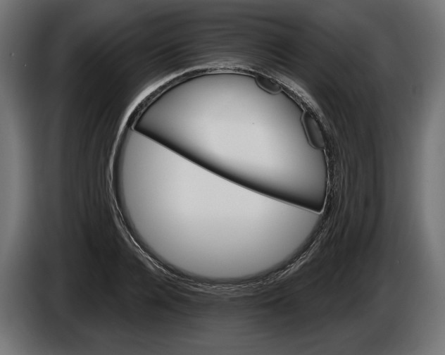 X0000086300936200704131606