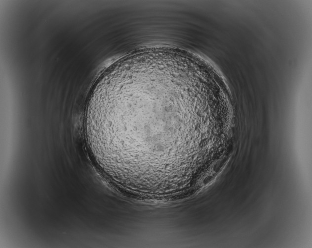 X0000086300937200704131606