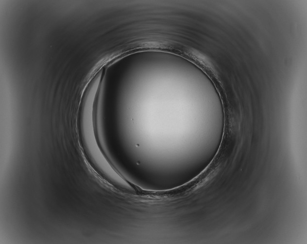 X0000086300938200704131606