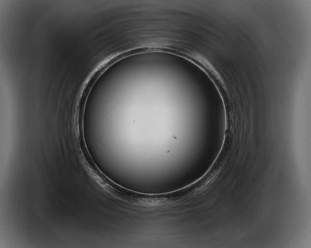 X0000086300939200704131606