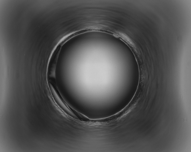 X0000086300940200704131606