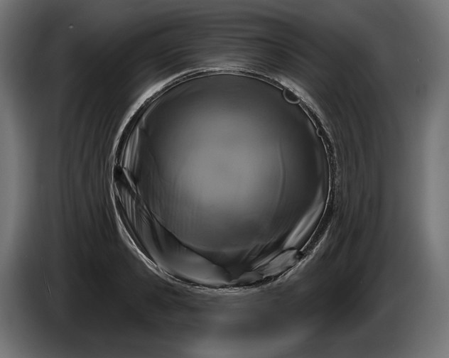 X0000086300941200704131606