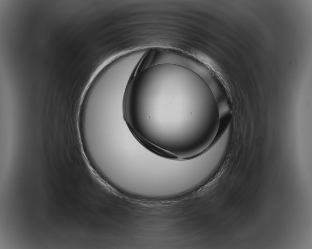 X0000086300942200704131606