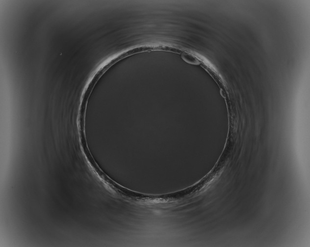 X0000086300943200704131606