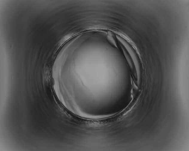 X0000086300945200704131606