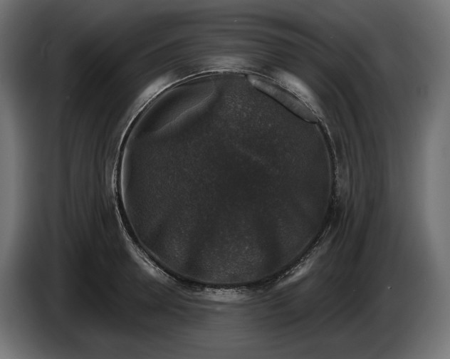 X0000086300946200704131606