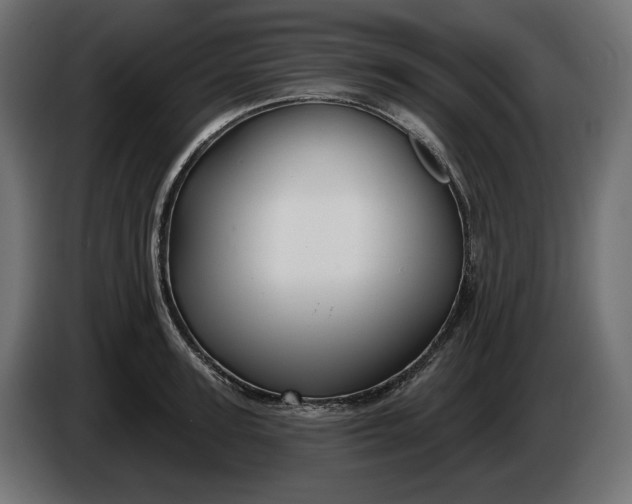 X0000086300947200704131606