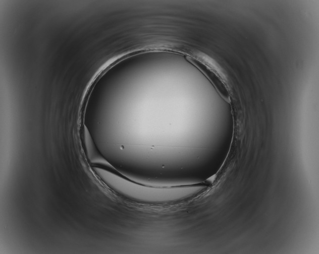 X0000086300948200704131606