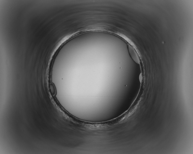 X0000086300949200704131606