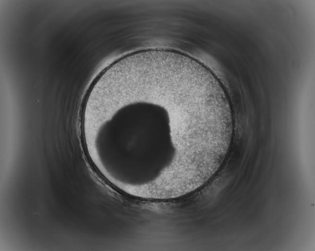 X0000086300950200704131606