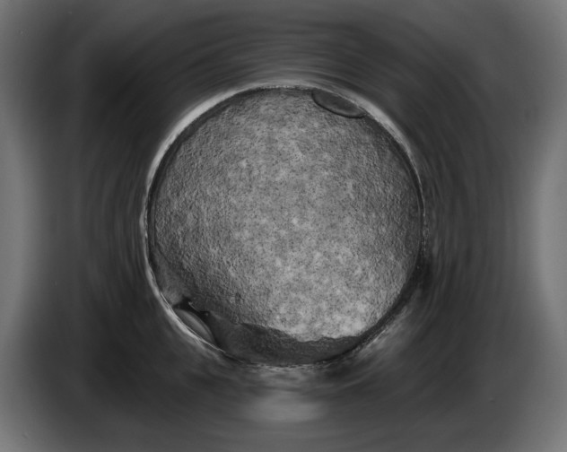 X0000086300951200704131606