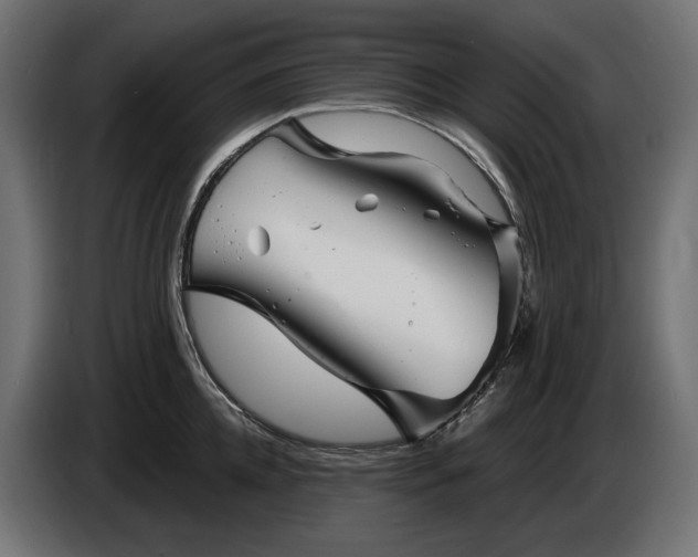 X0000086300952200704131606