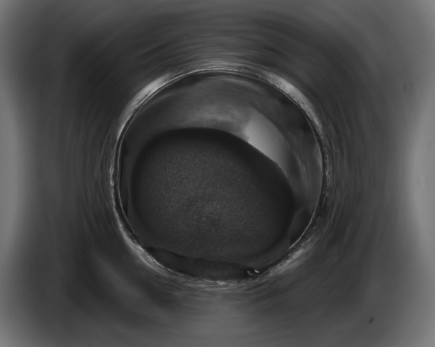 X0000086300954200704131606