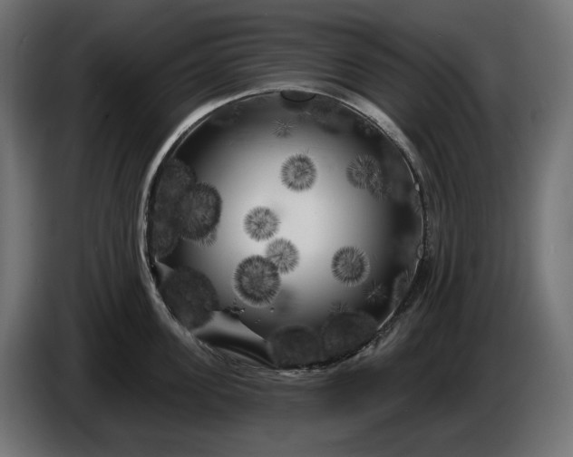 X0000086300955200704131606