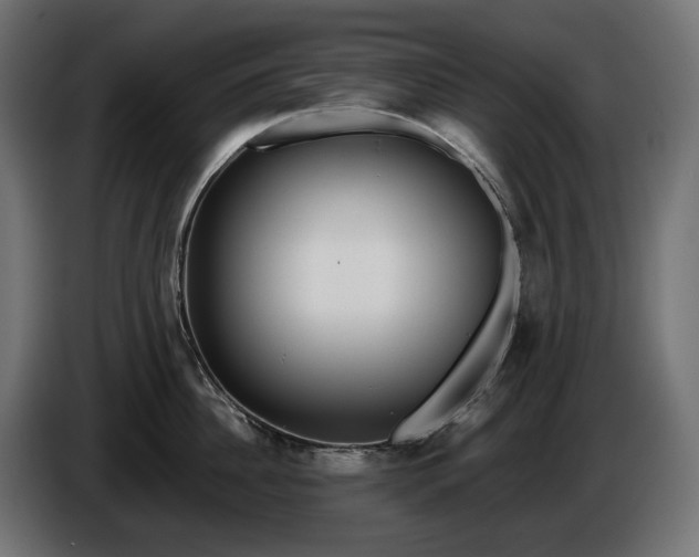 X0000086300956200704131607