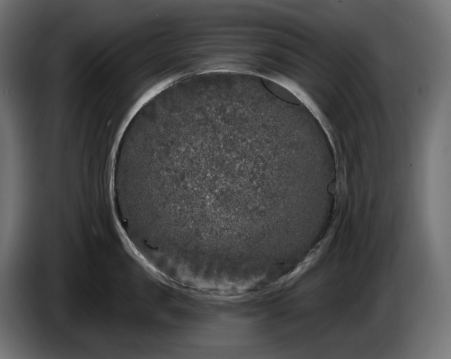 X0000086300957200704131607