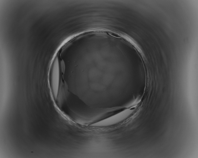 X0000086300958200704131607